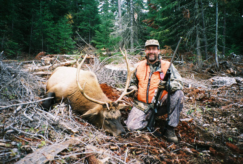 Elk 2004 Guller Mountain