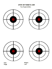 4 Metas Bullseye