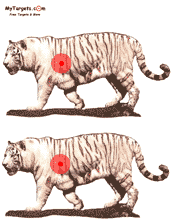 Life-Like Target Tigers